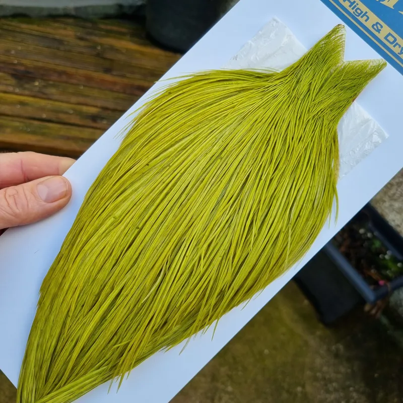 Whiting High and Dry Rooster Cape in Olive-4